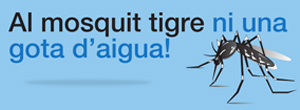 L’Ajuntament se suma a la campanya de prevenció del mosquit tigre